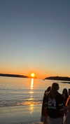 harrietross_ Altpins Profile Picture