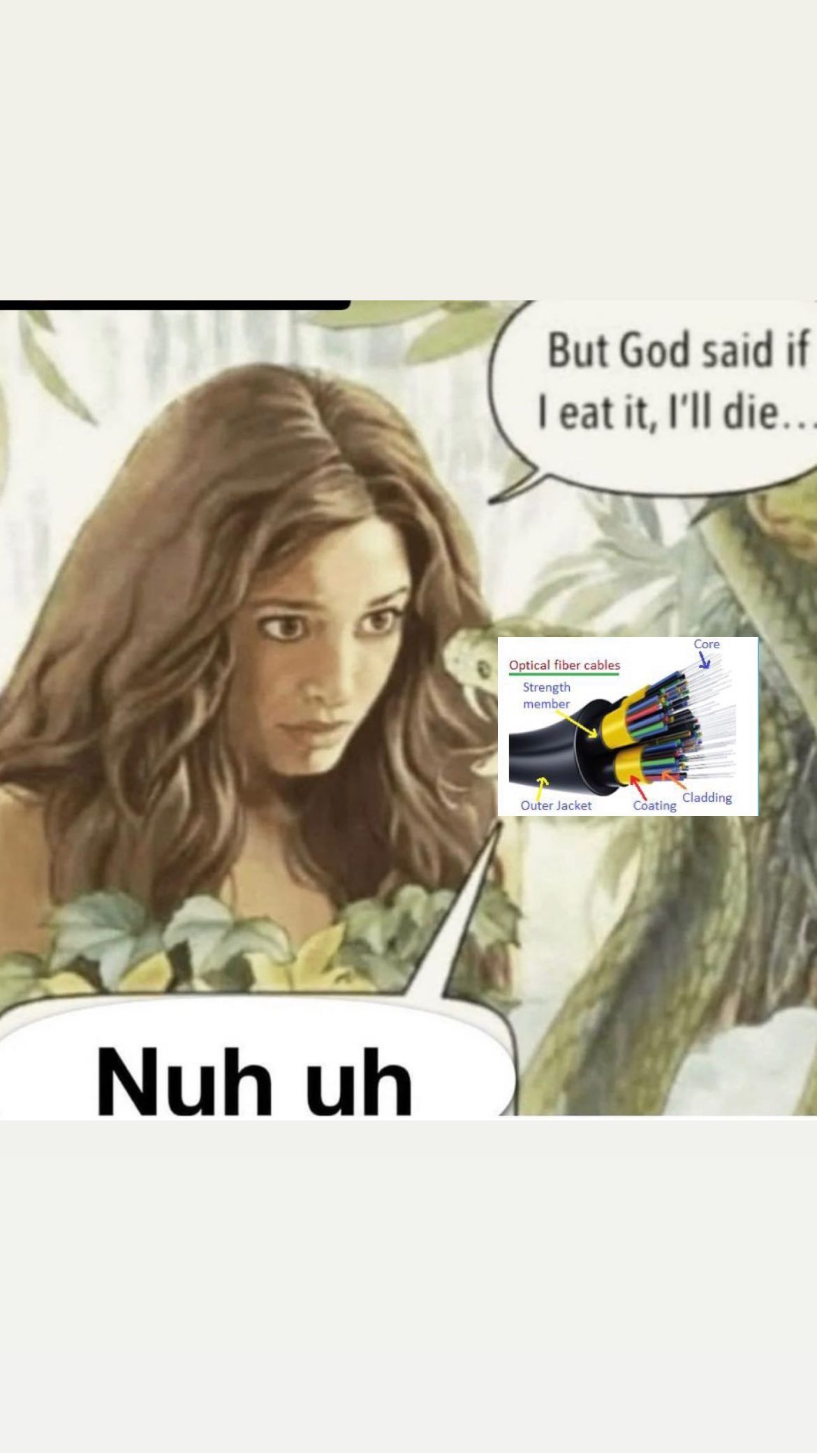 haylujan instagram image archive image