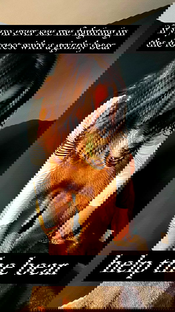 haylujan image ~ Altpins