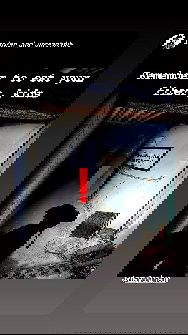 haylujan image ~ Altpins