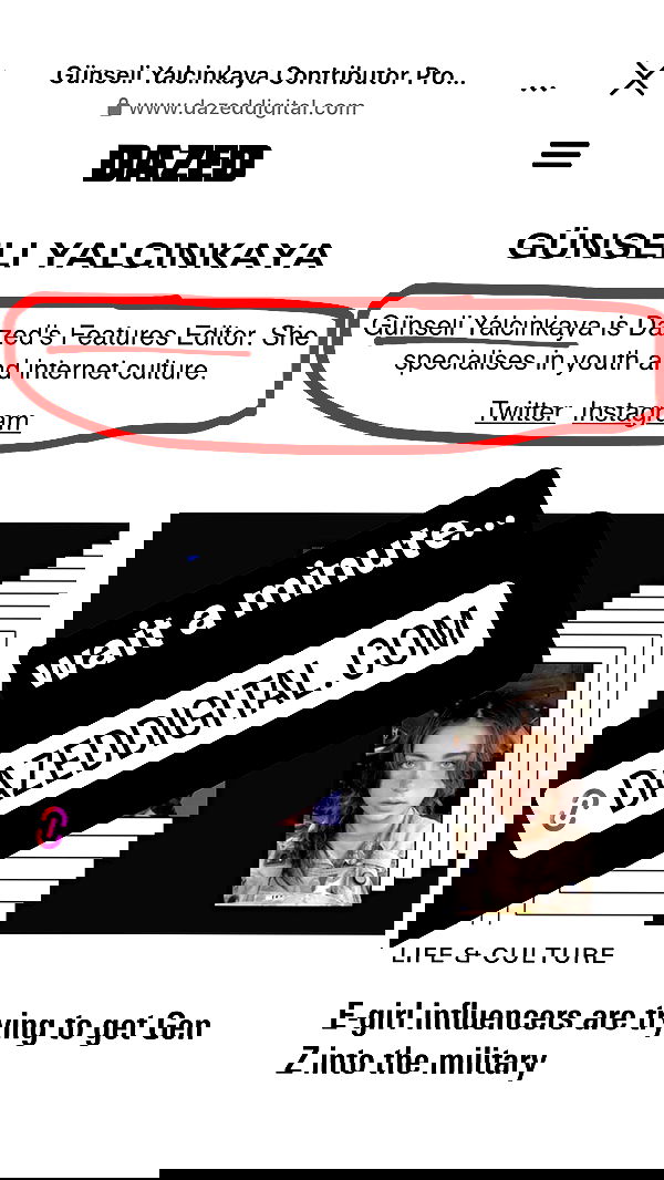 haylujan image ~ Altpins