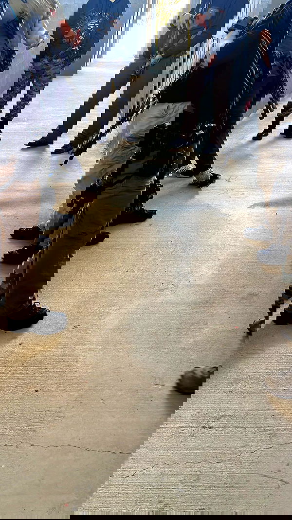 haylujan image ~ Altpins