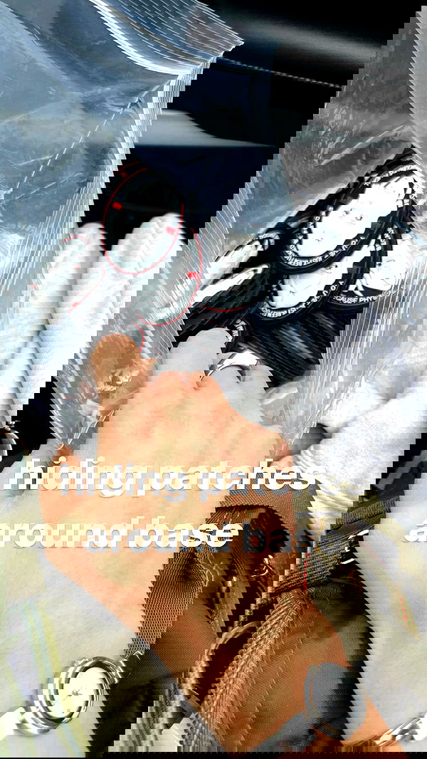 haylujan image ~ Altpins