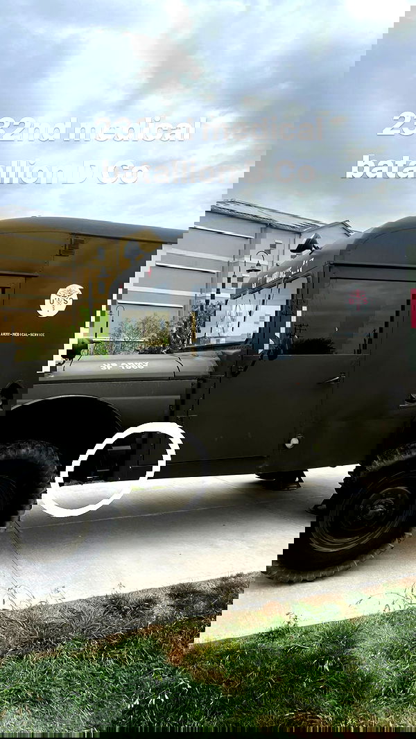 haylujan image ~ Altpins