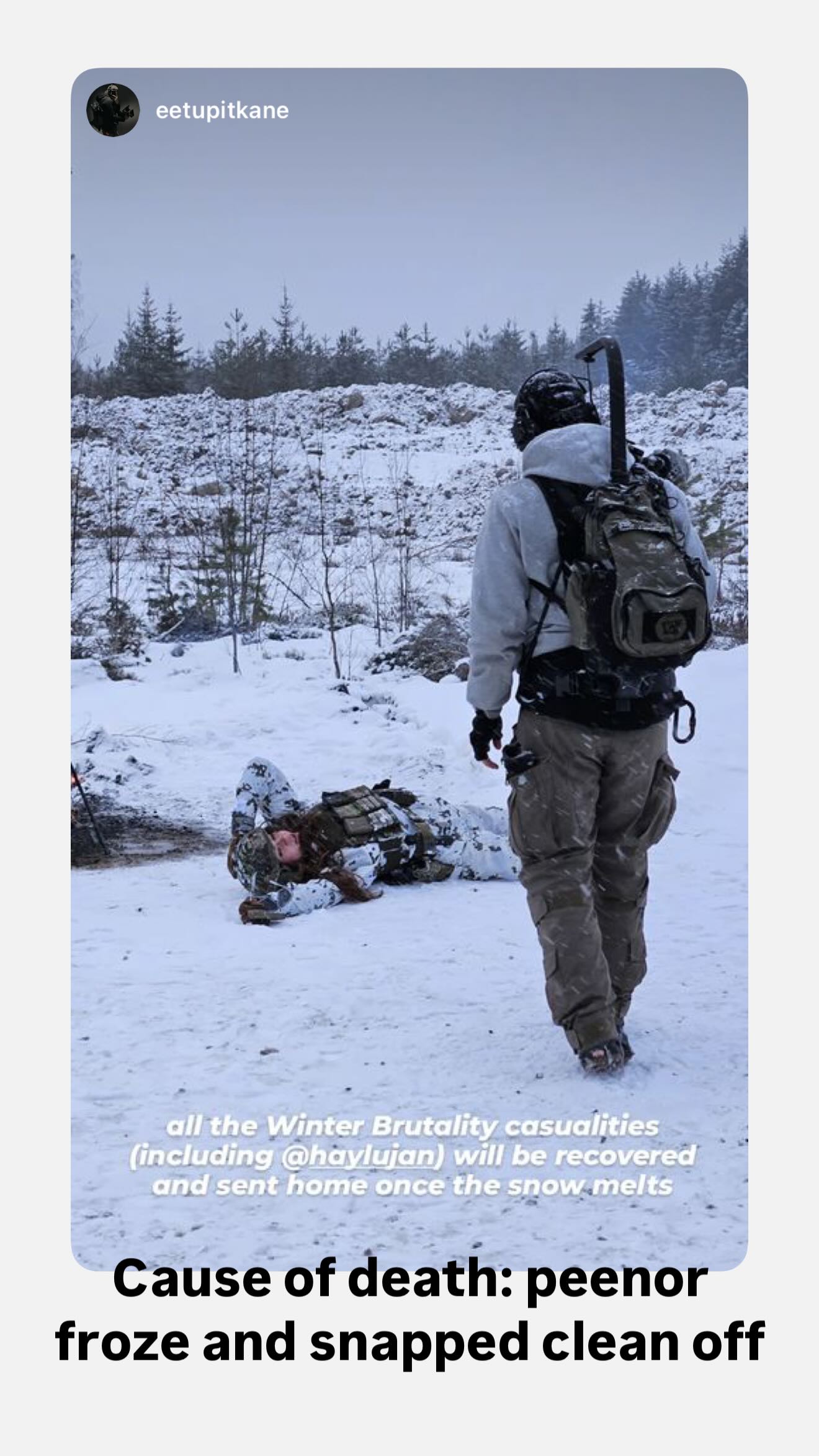 haylujan instagram image archive image