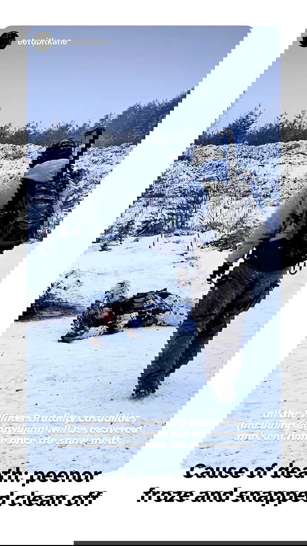 haylujan image ~ Altpins