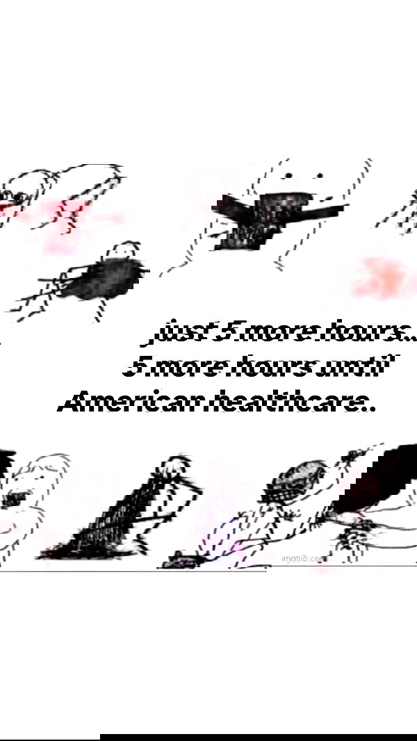 haylujan image ~ Altpins