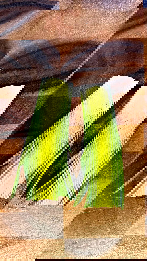 haylujan image ~ Altpins