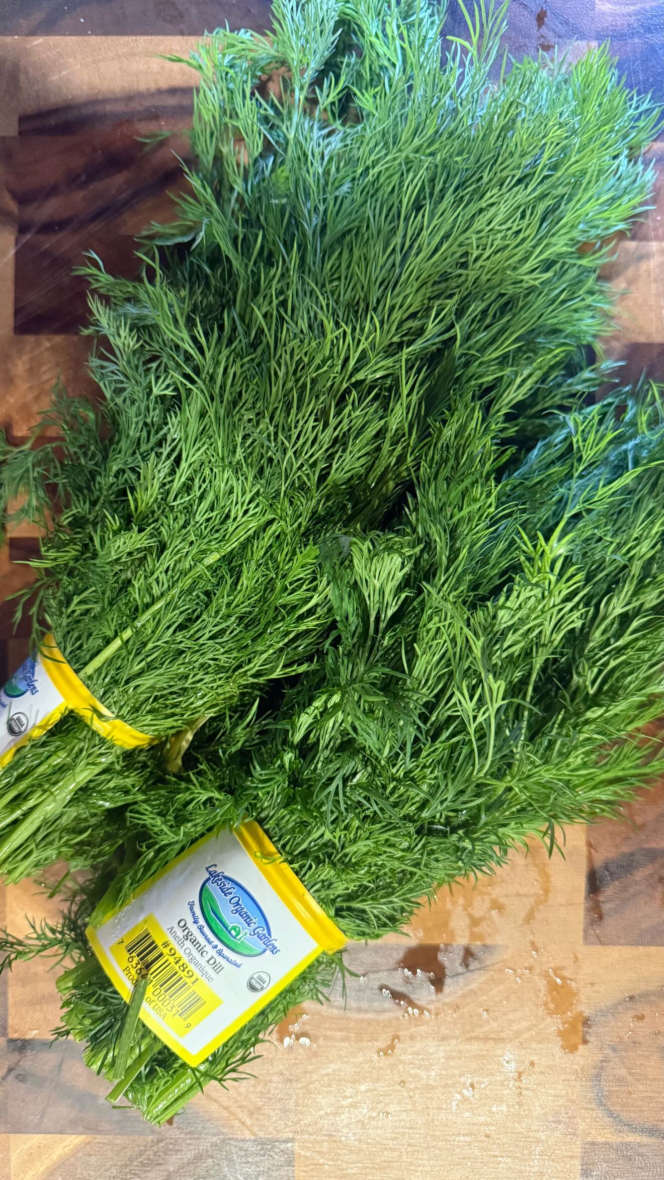 haylujan instagram image archive image