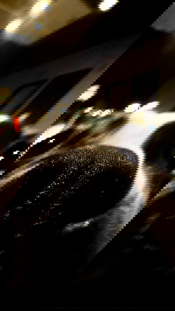 haylujan image ~ Altpins