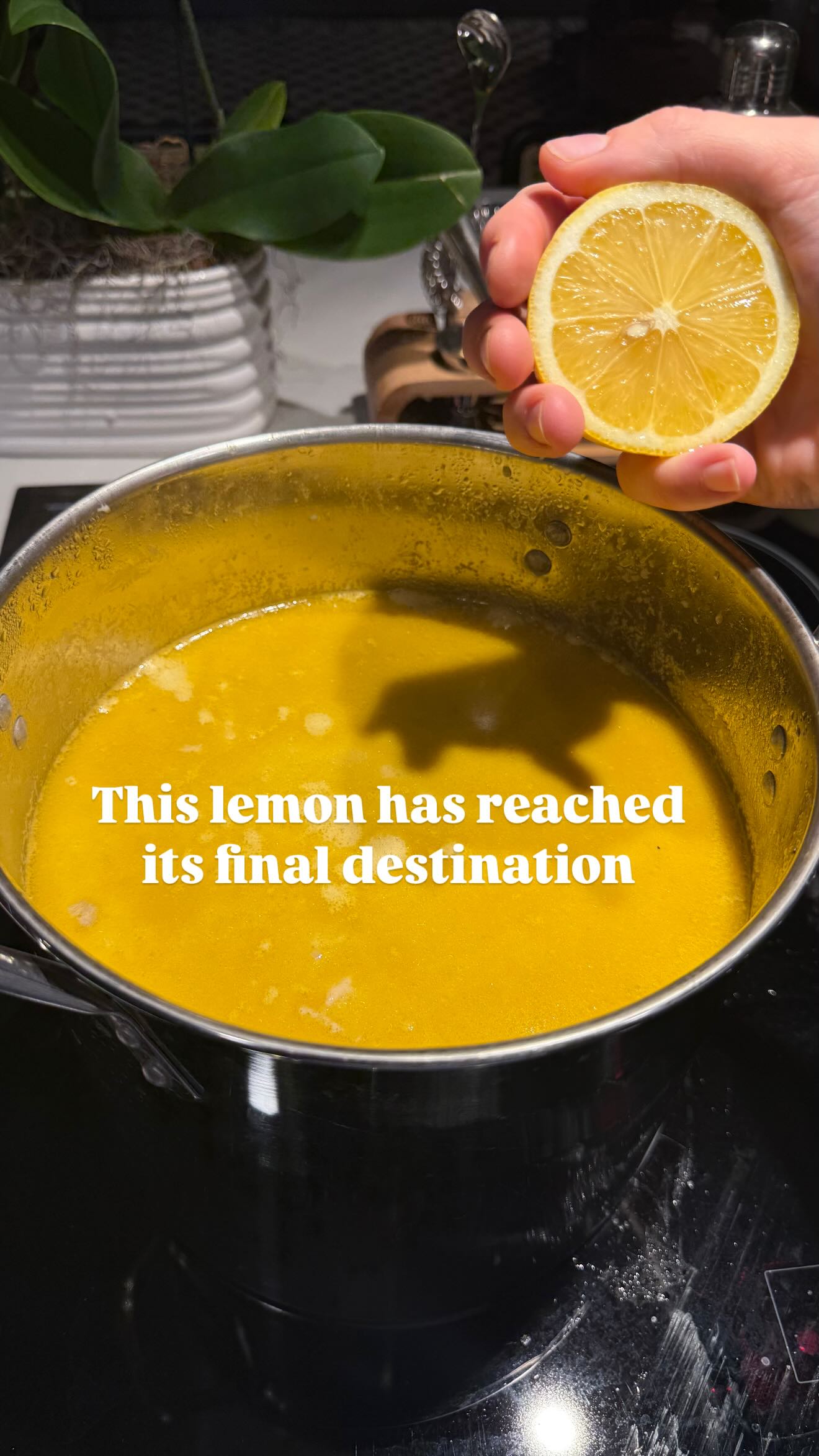 haylujan instagram image archive image