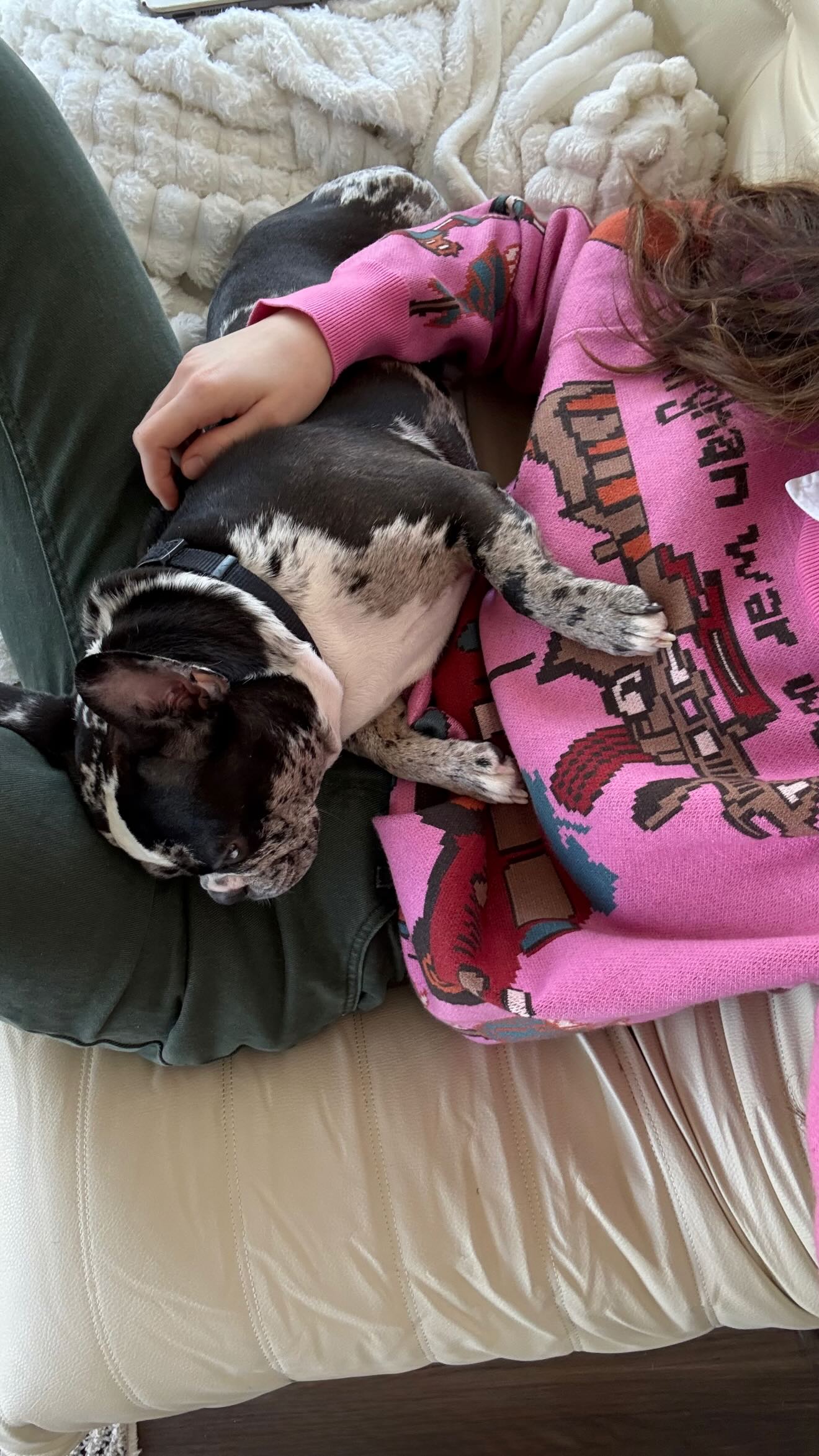 haylujan instagram image archive image