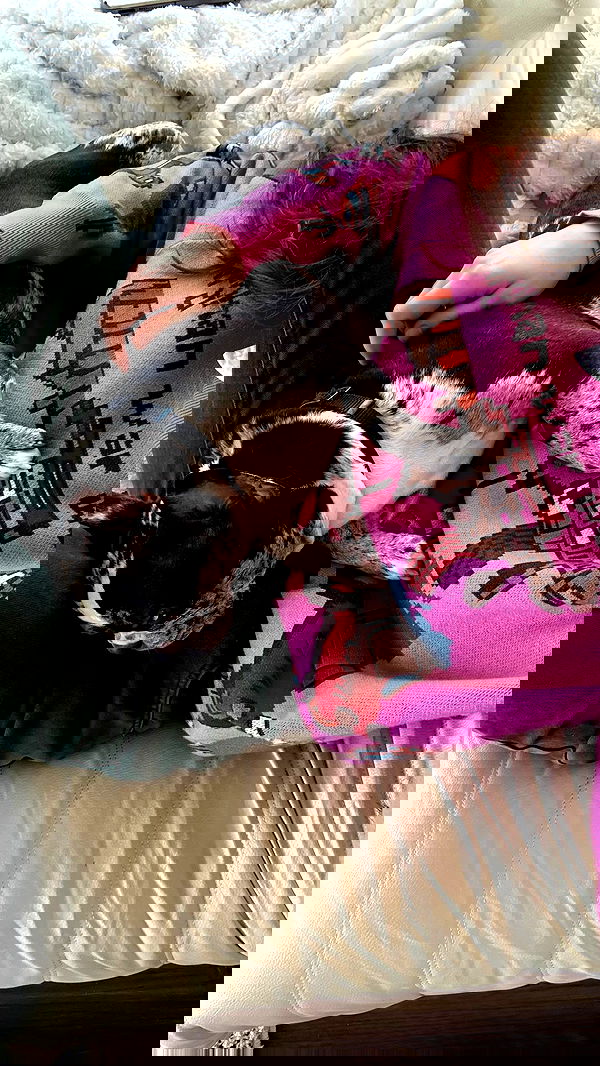 haylujan image ~ Altpins