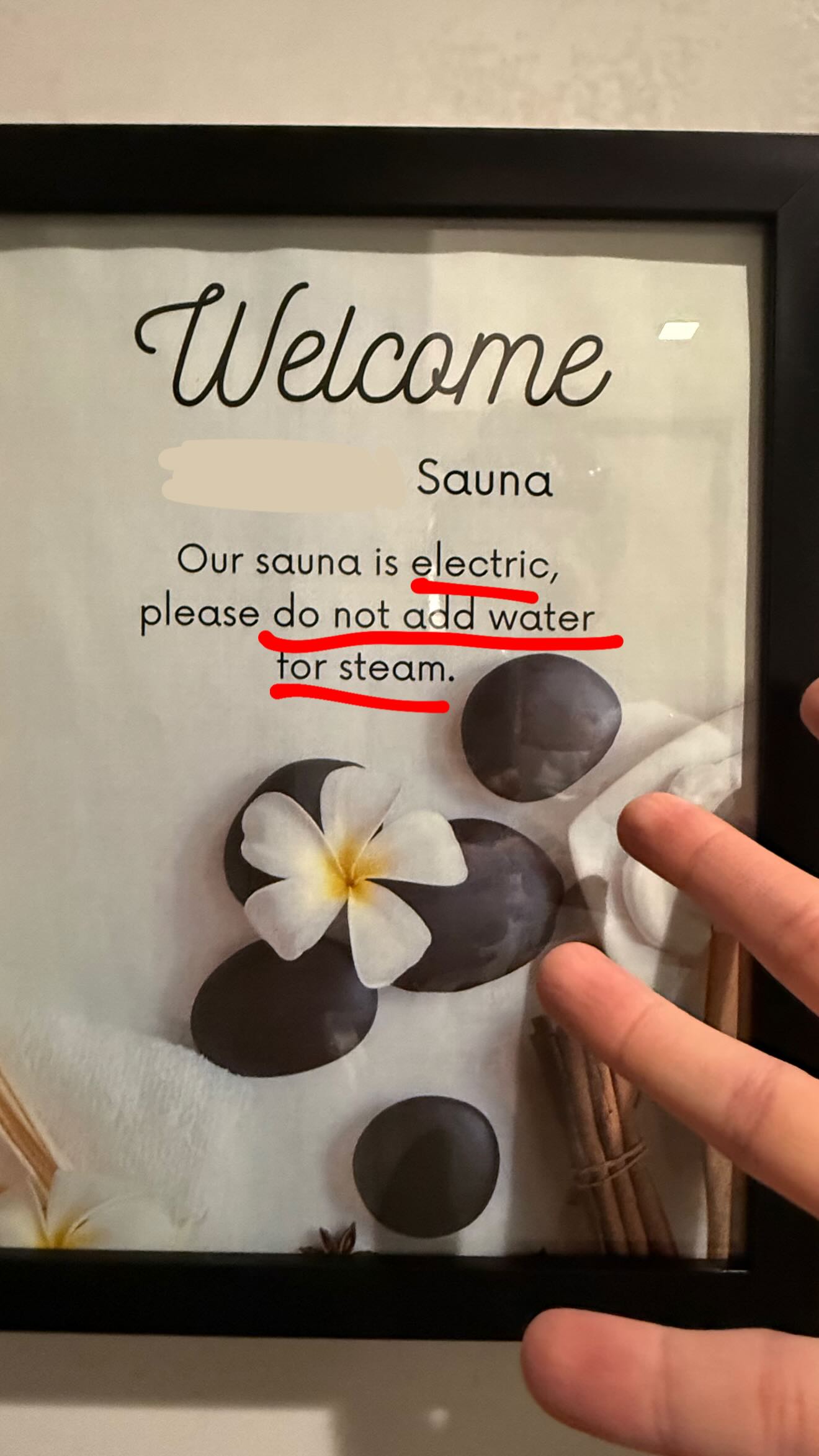 haylujan instagram image archive image