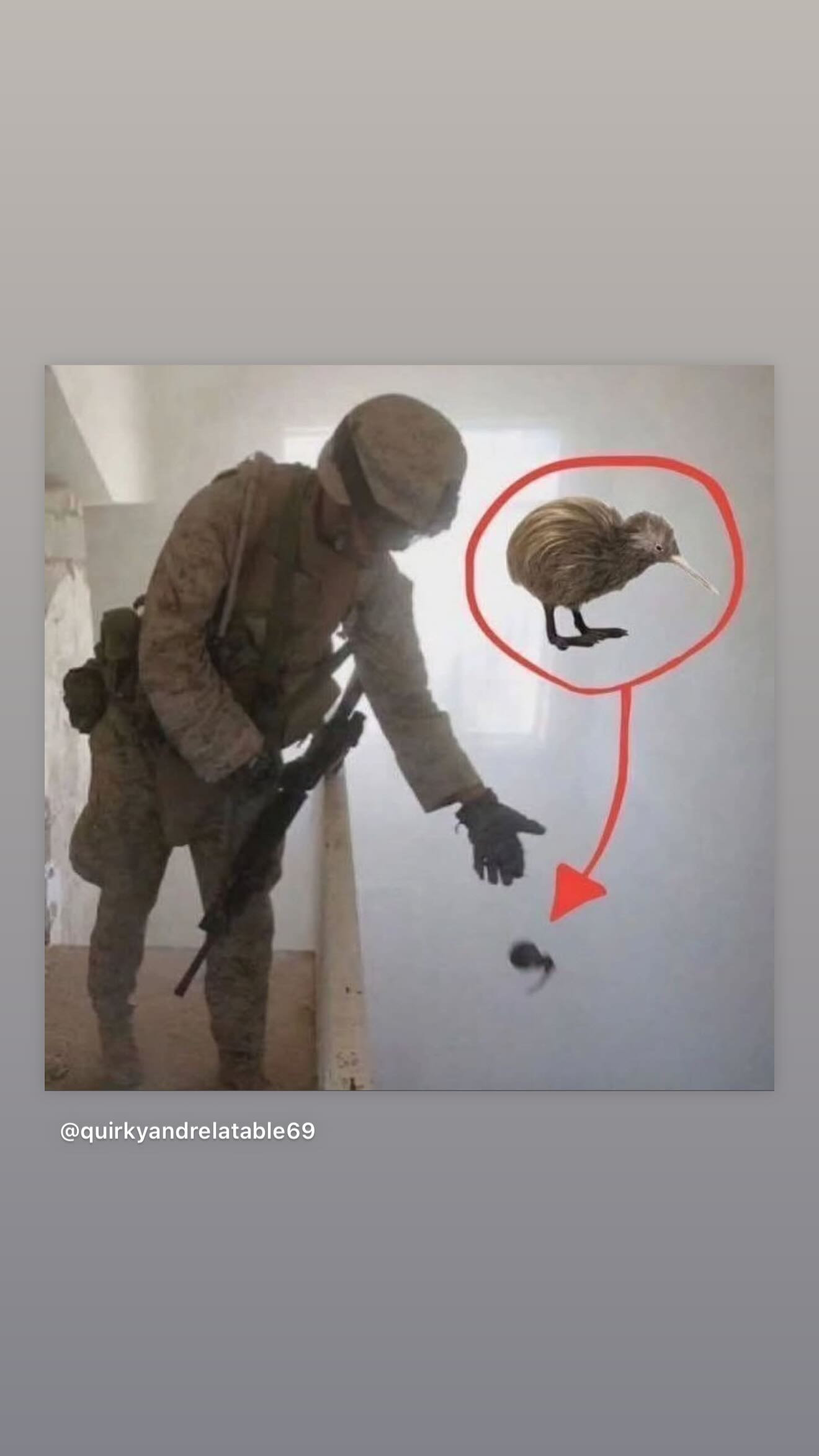 haylujan instagram image archive image