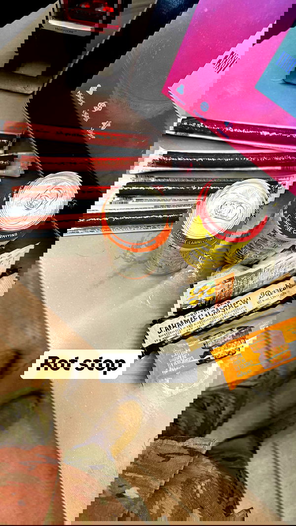 haylujan image ~ Altpins