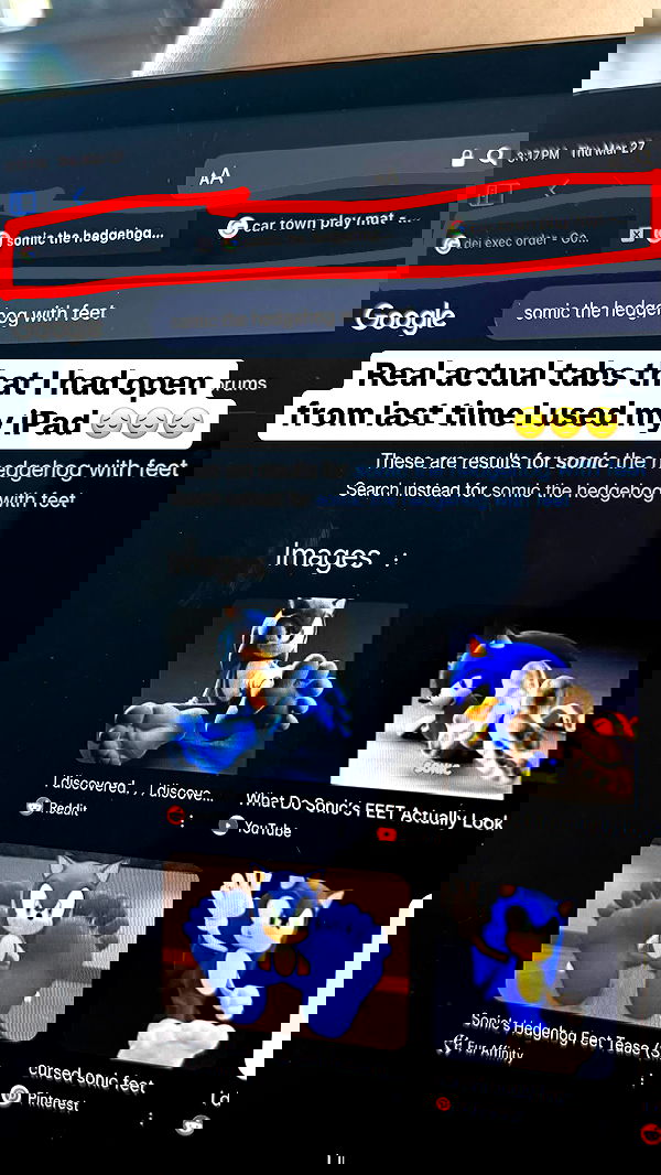 haylujan image ~ Altpins