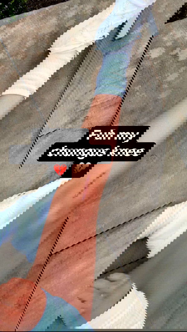 haylujan image ~ Altpins