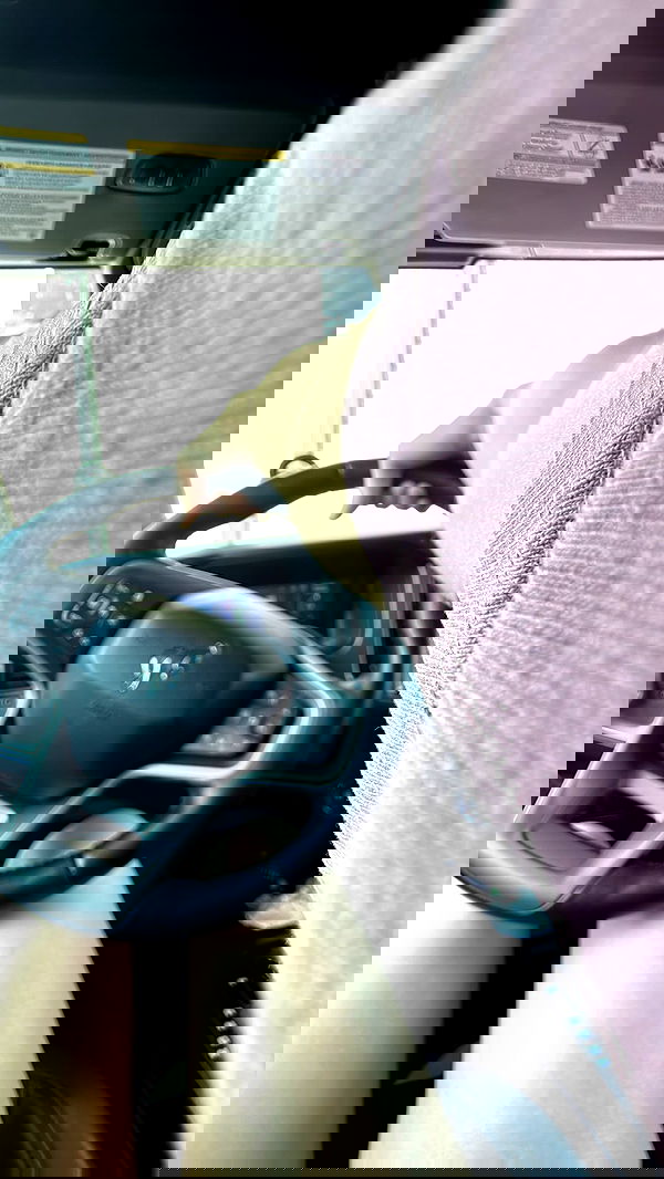 haylujan image ~ Altpins