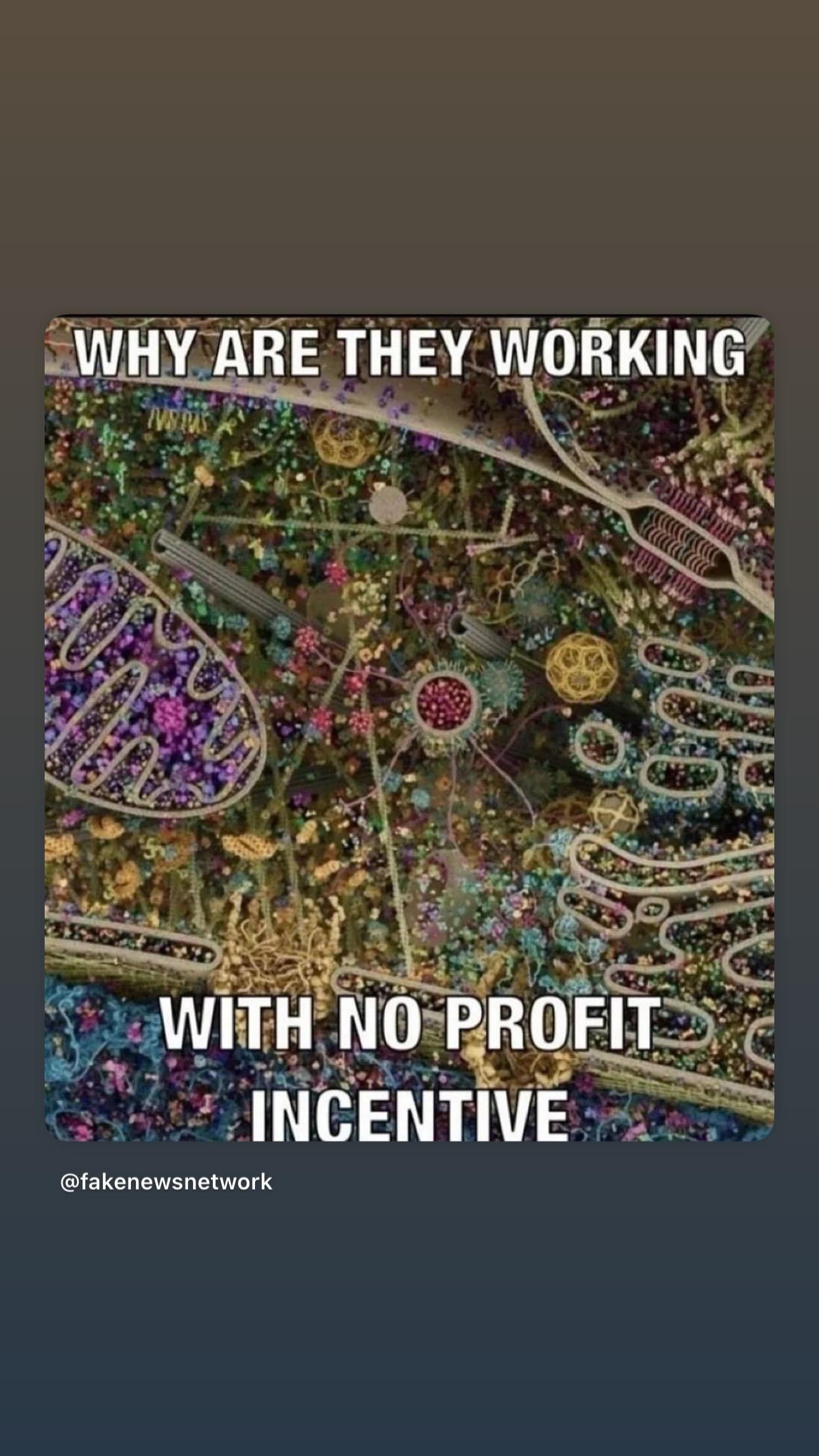 haylujan instagram image archive image