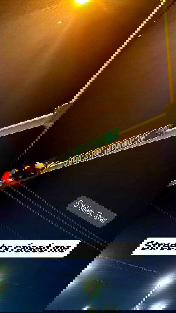 haylujan image ~ Altpins