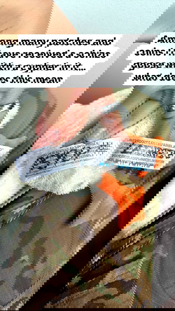 haylujan image ~ Altpins