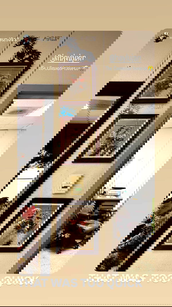 haylujan image ~ Altpins