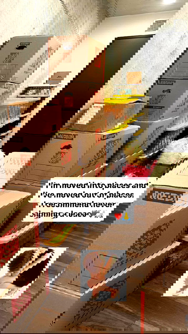 haylujan image ~ Altpins