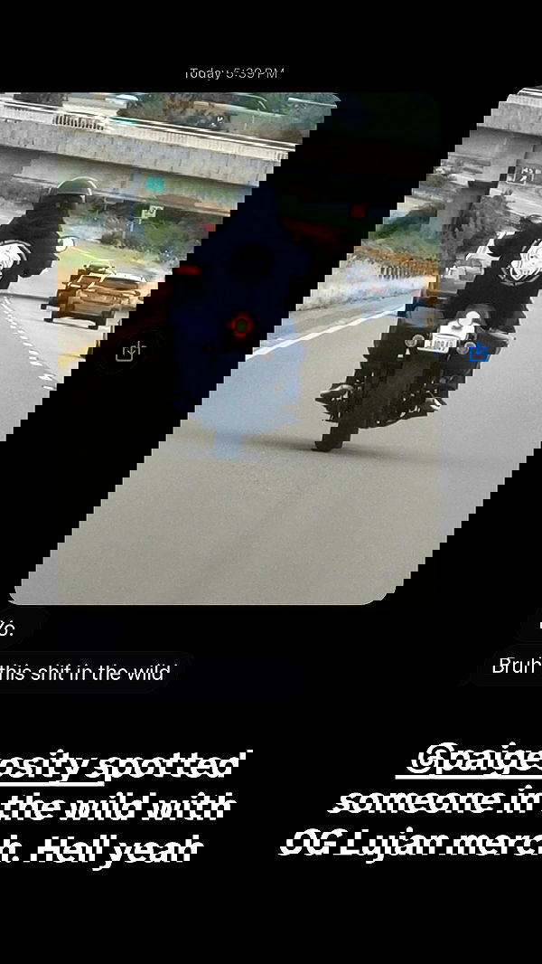 haylujan image ~ Altpins