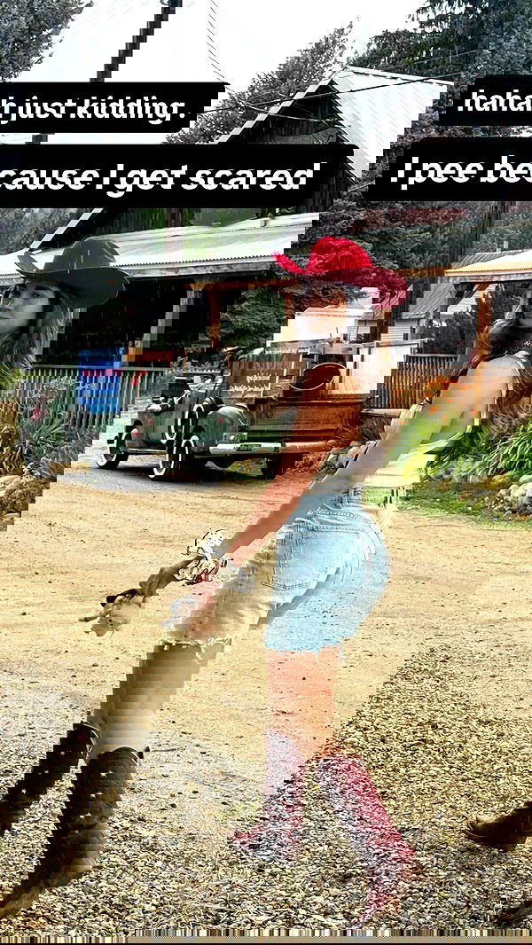 haylujan image ~ Altpins