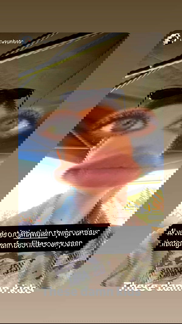 haylujan image ~ Altpins