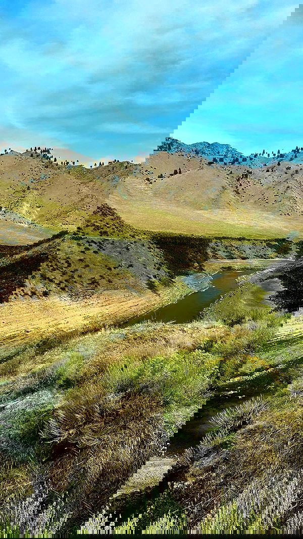 haylujan image ~ Altpins