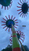 heathergrace67 Altpins Profile Picture