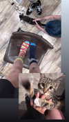 heathergrace67 Altpins Profile Picture
