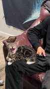 heathergrace67 Altpins Profile Picture