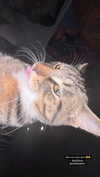 heathergrace67 Altpins Profile Picture
