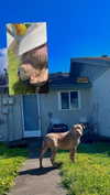 heathergrace67 Altpins Profile Picture