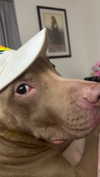 heathergrace67 Altpins Profile Picture
