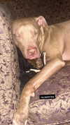 heathergrace67 Altpins Profile Picture