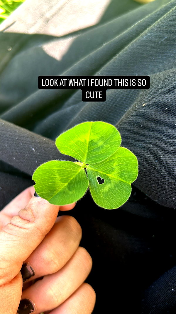 heathergrace67 instagram image archive image