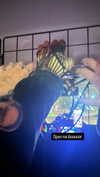 heathergrace67 Altpins Profile Picture