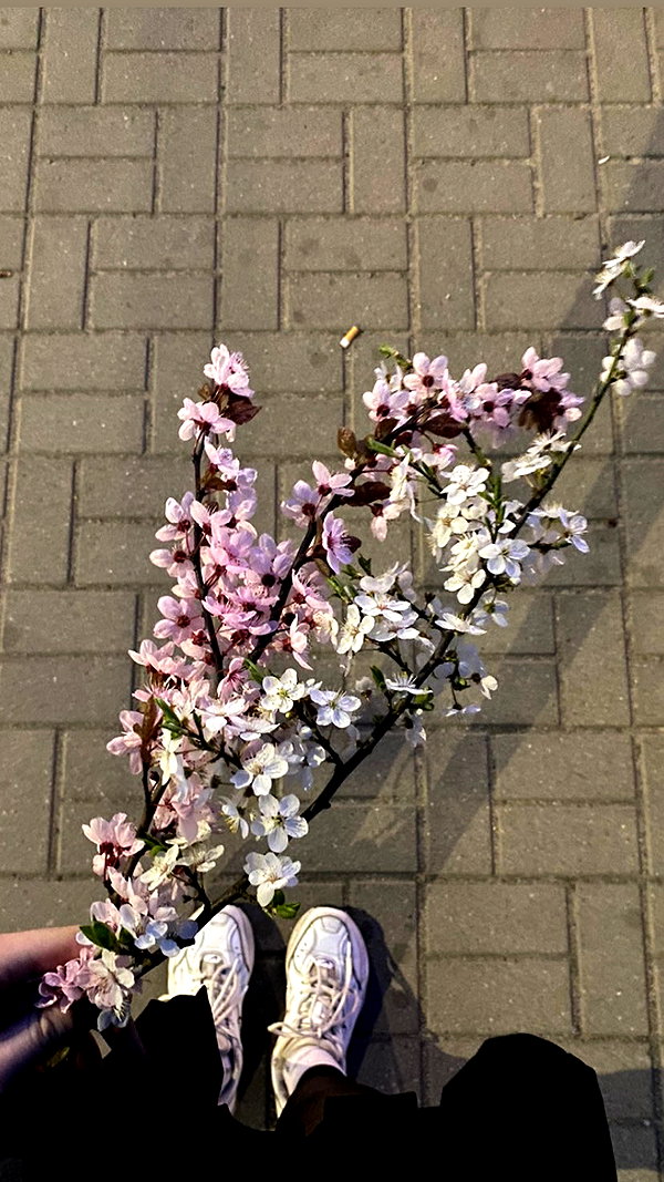 hefxtom instagram image archive image