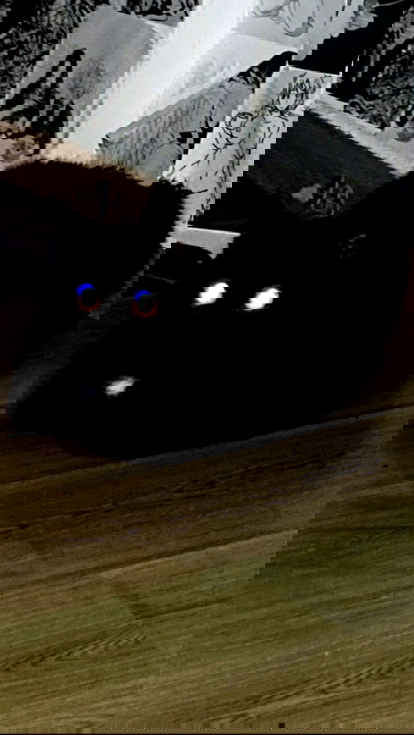 hellokittyangel666 hellokittyangel666 archive image