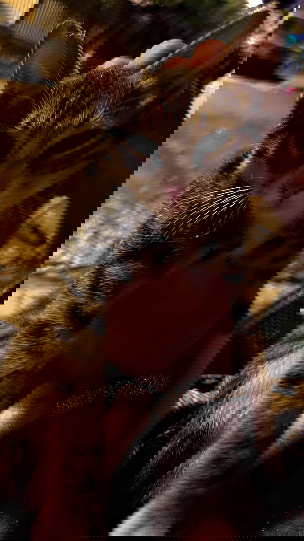 hellokittyangel666 hellokittyangel666 archive image