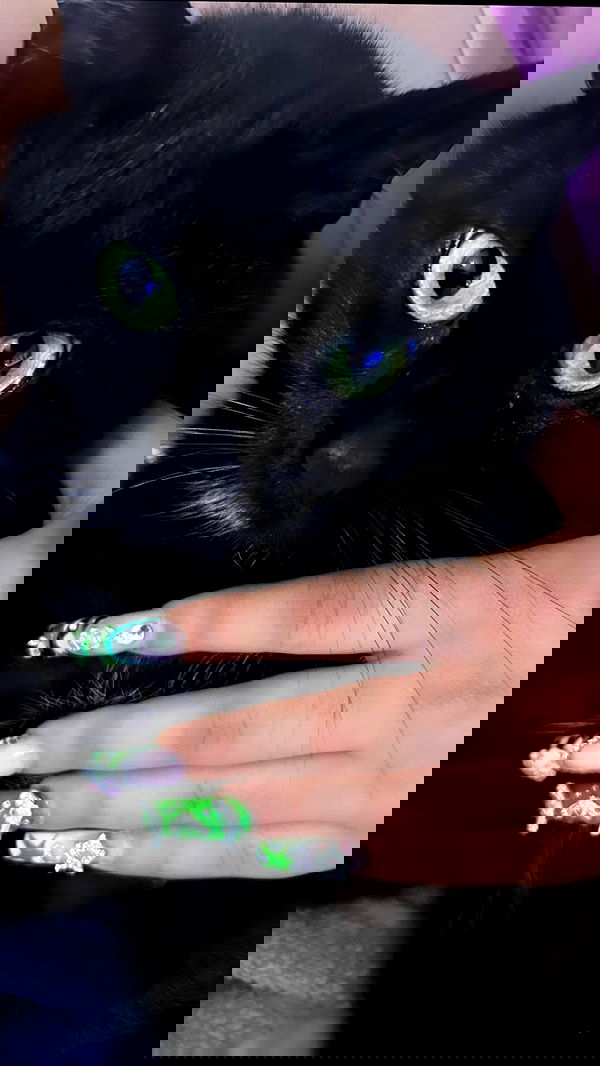 hellokittyangel666 hellokittyangel666 archive image