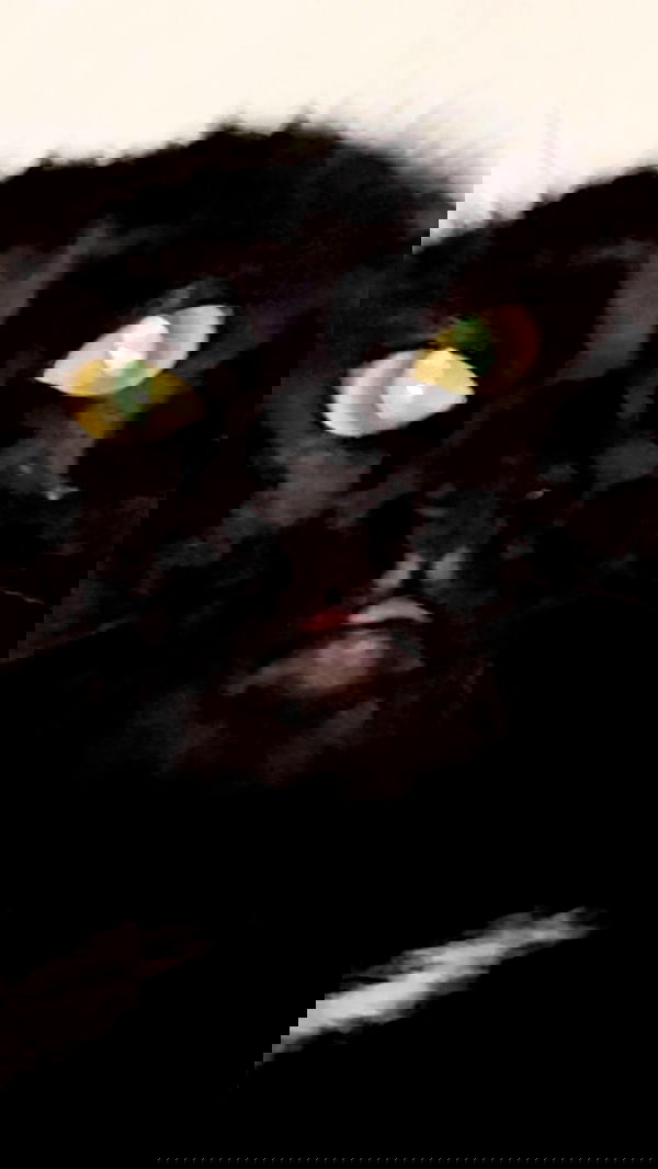 hellokittyangel666 hellokittyangel666 archive image