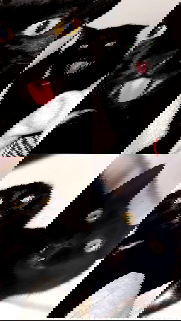 hellokittyangel666 hellokittyangel666 archive image