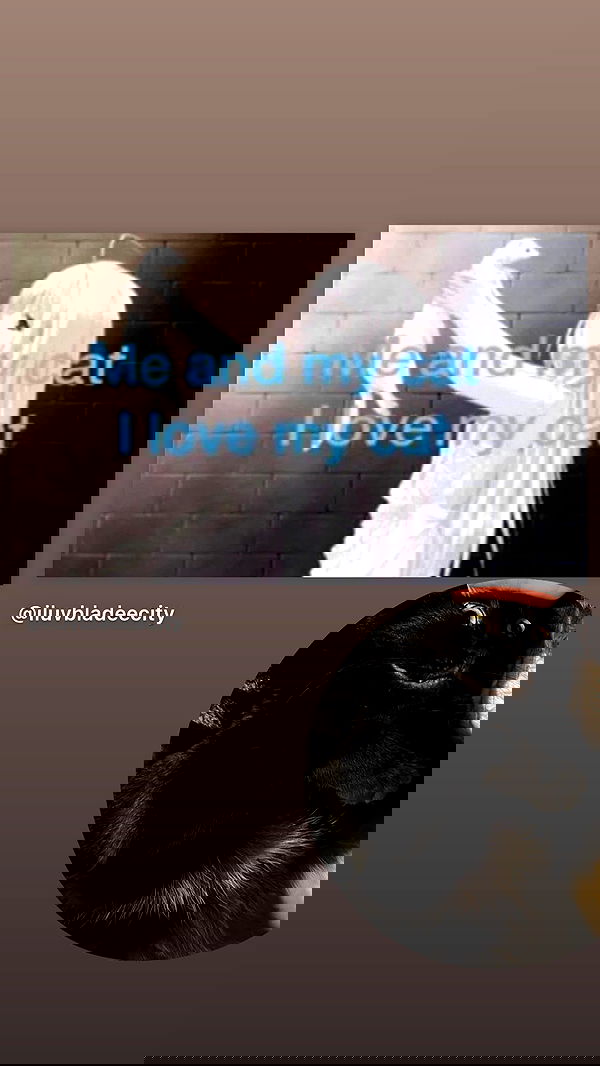 hellokittyangel666 hellokittyangel666 archive image