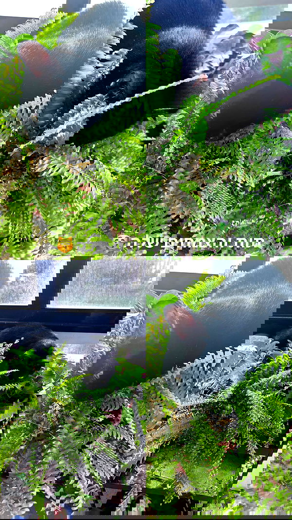 hellokittyangel666 hellokittyangel666 archive image