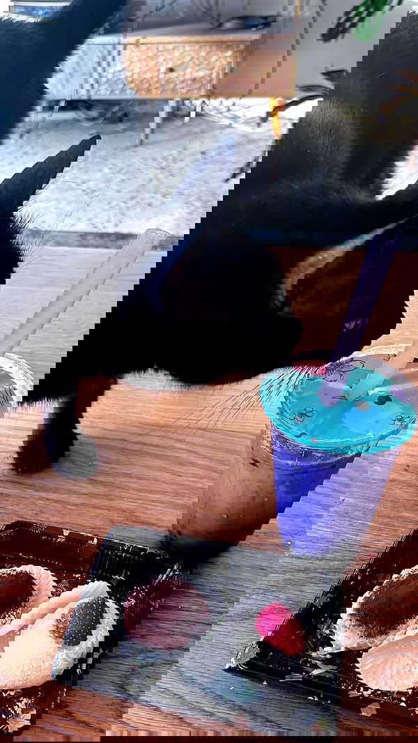 hellokittyangel666 hellokittyangel666 archive image